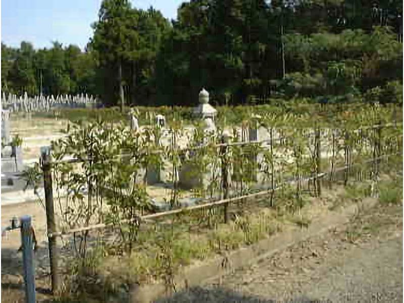 近江大霊園