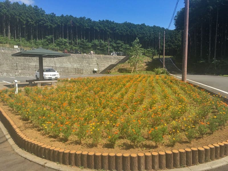 裾野市営墓地