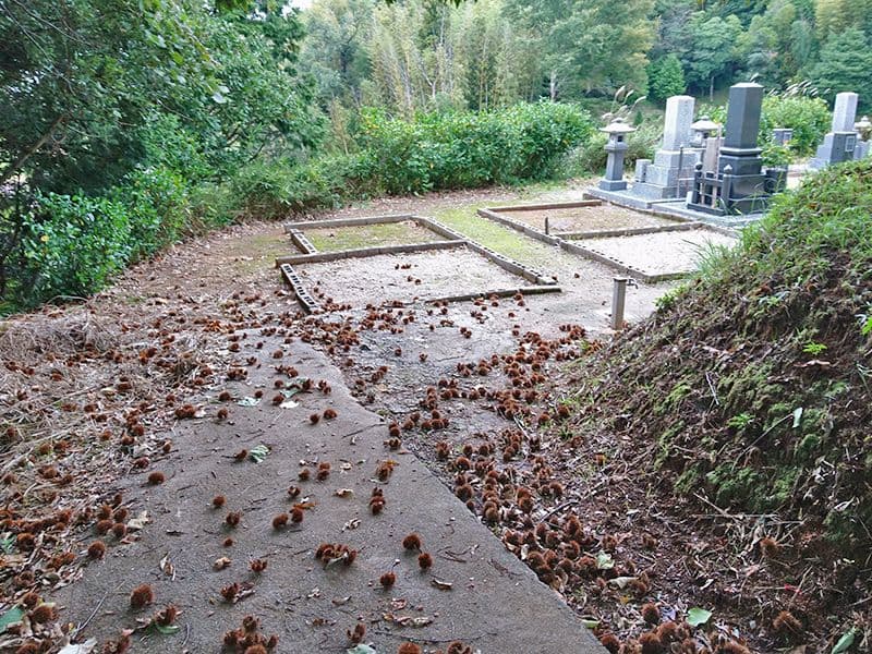 新奥ノ谷墓地