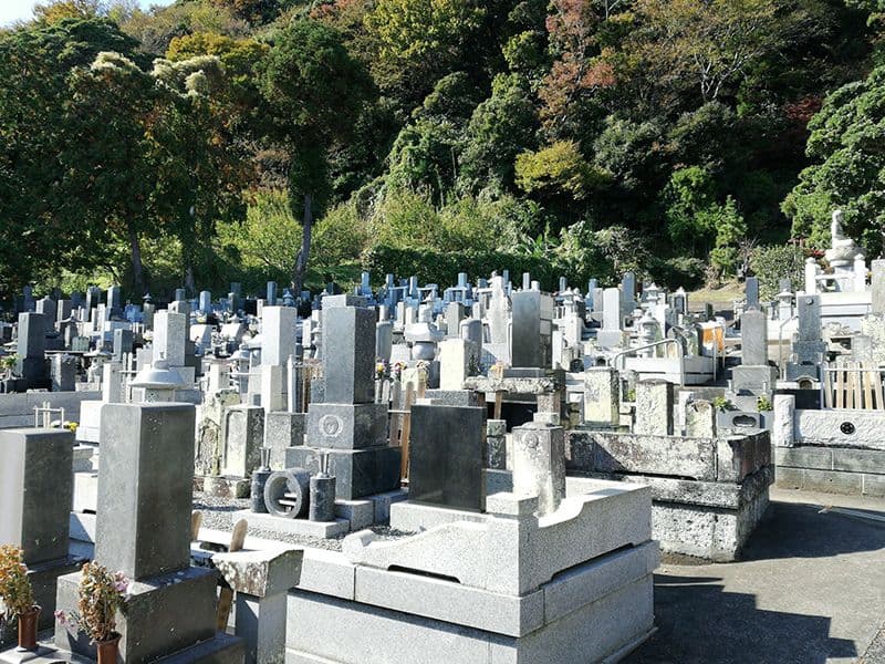 蓮華院