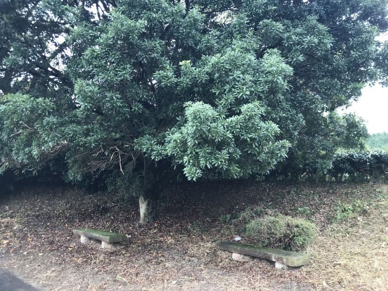 下松市営 花岡墓地