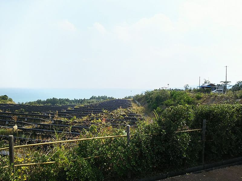 四万十・双海霊園