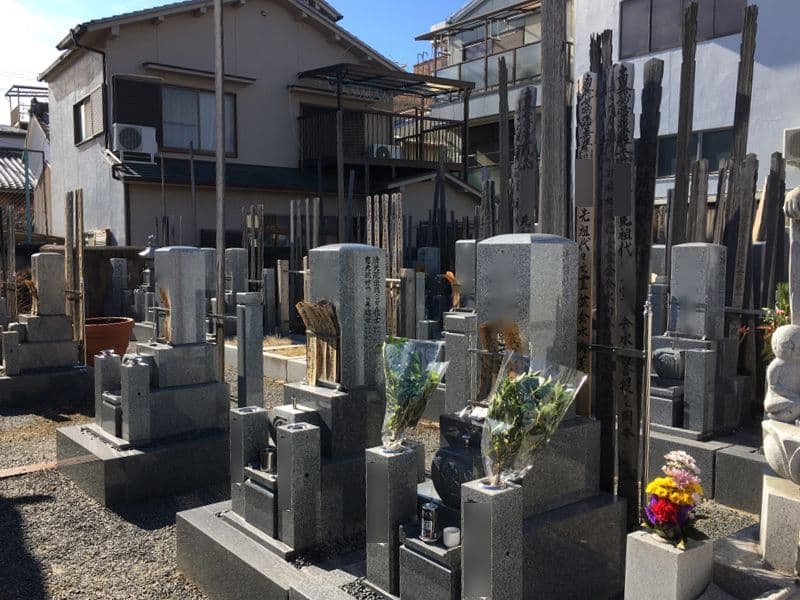 妙蓮寺