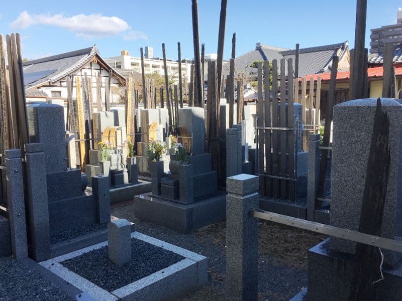 妙蓮寺