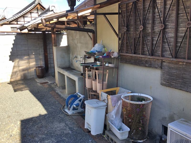 妙蓮寺