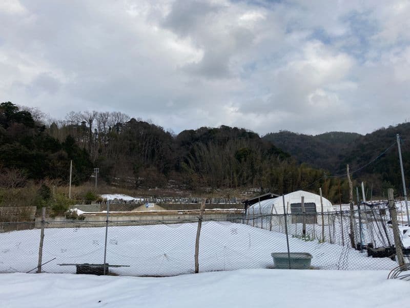 京丹後市営 浜詰墓地