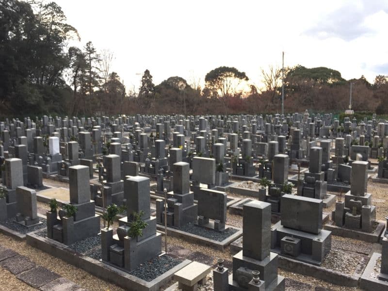 興聖寺