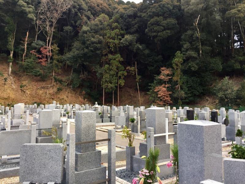 興聖寺