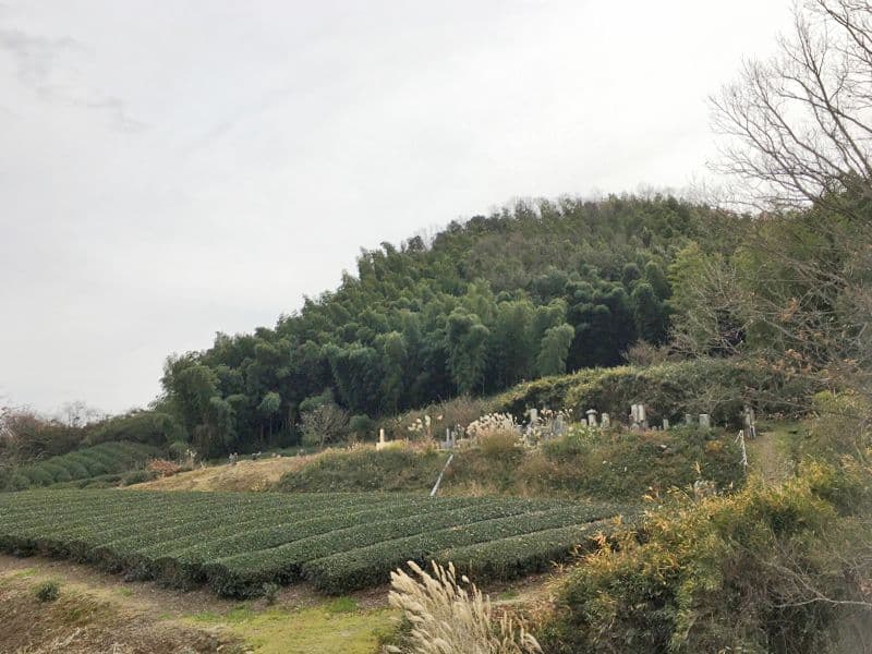 法花寺野墓地