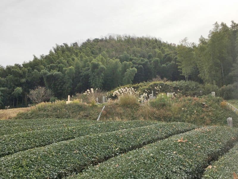 法花寺野墓地
