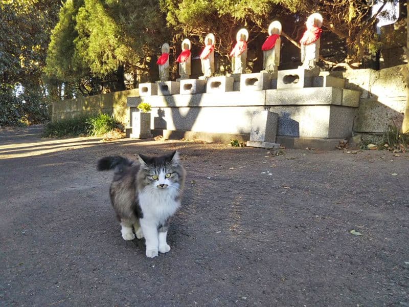 石山霊園