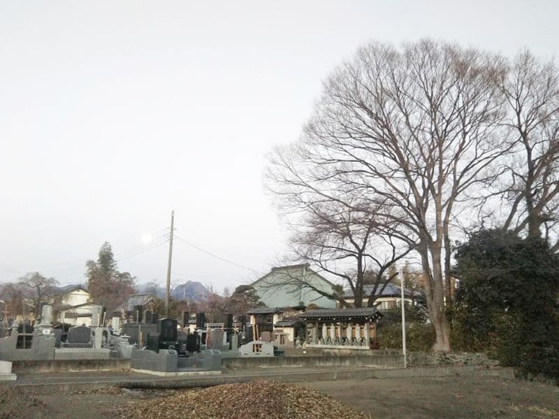 長松寺南霊園