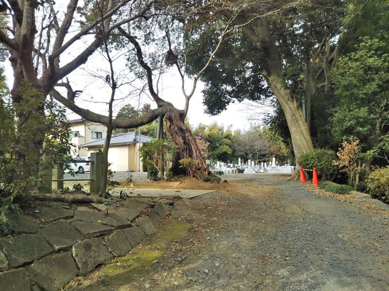 大部山真佛寺