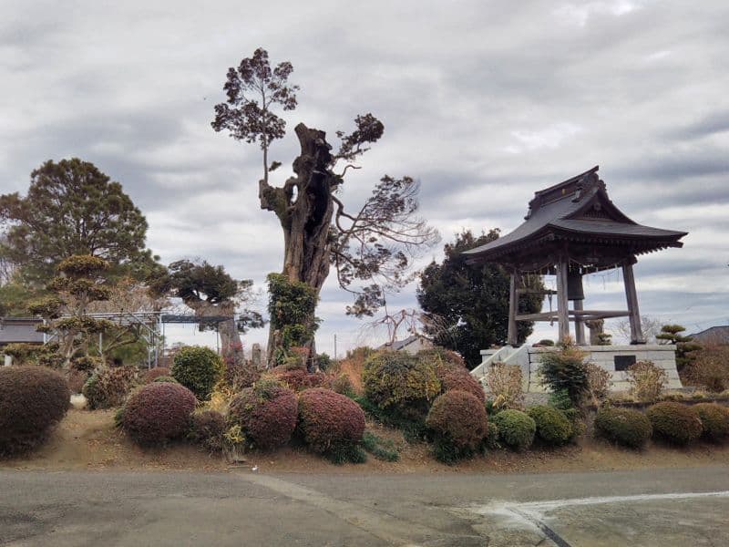 和光院