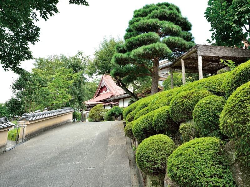 大泉寺墓所　趣のある境内風景