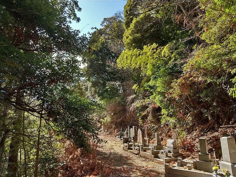阿弥陀寺