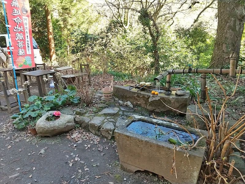 阿弥陀寺