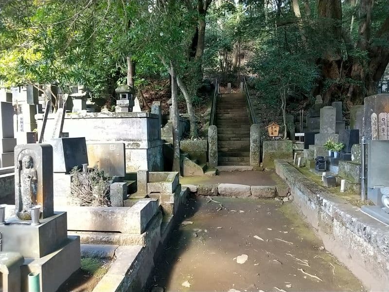 早雲寺