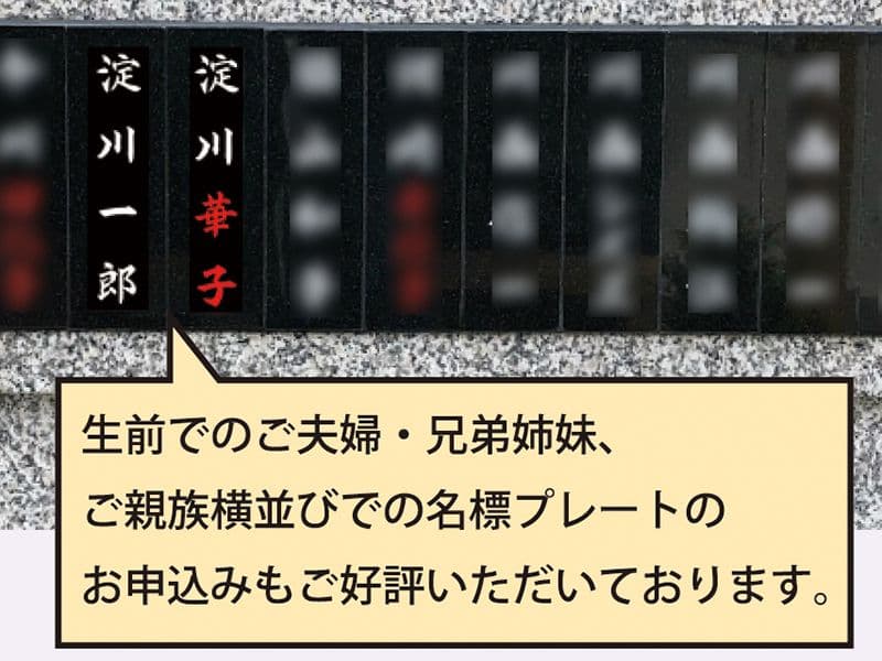 新高の紫苑