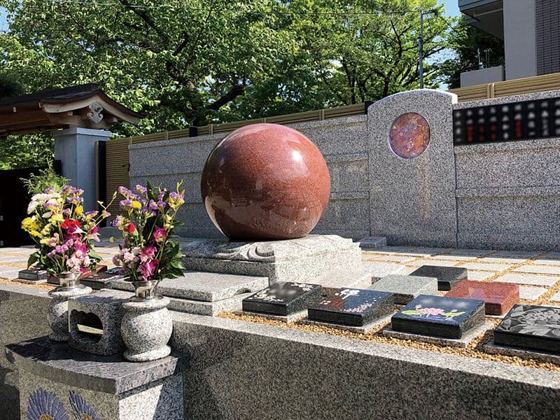 新高の紫苑