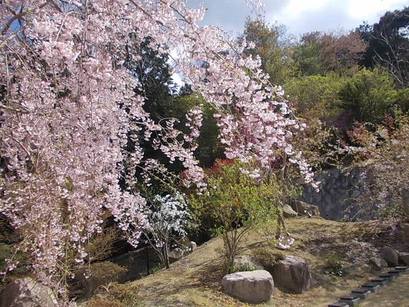 京都天が瀬メモリアル公園