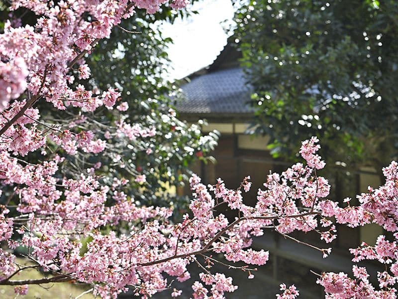 月眞院