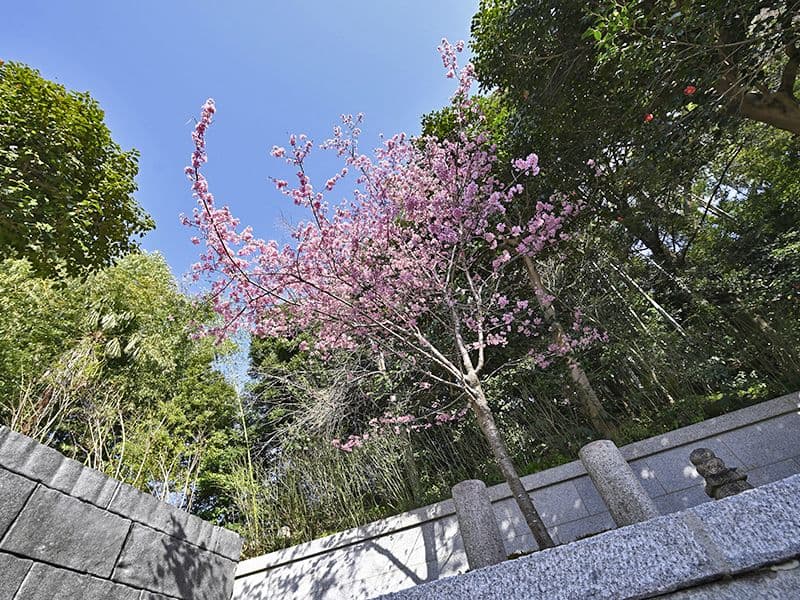 月眞院