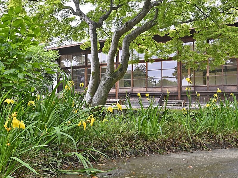 月眞院