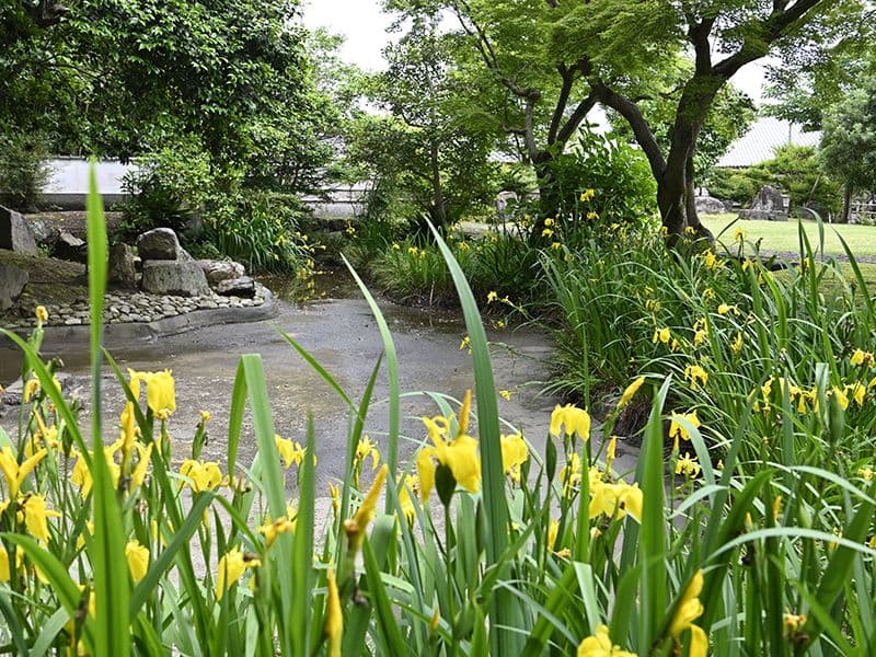 月眞院