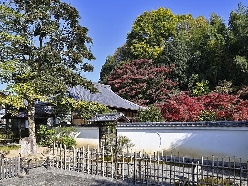 月眞院