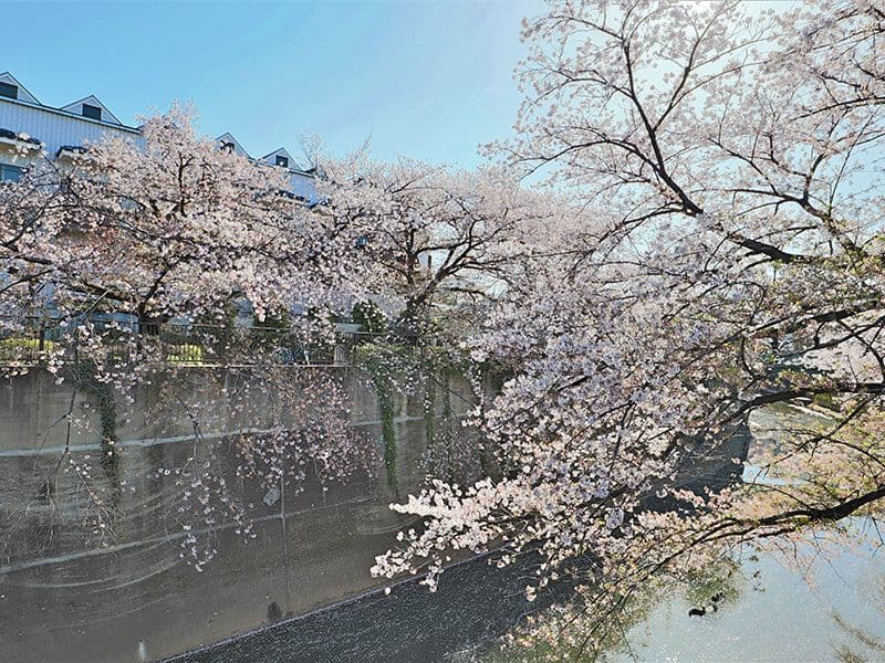 サニープレイス福壽園（福寿園）