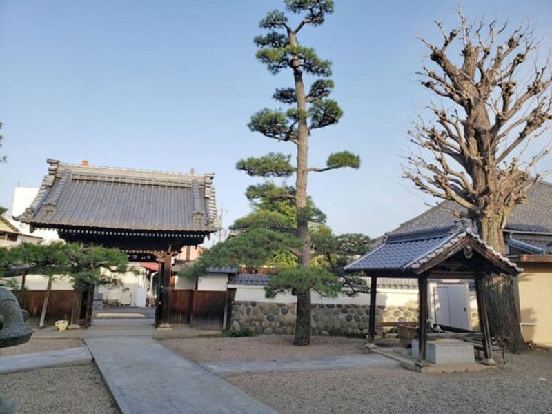 専福寺 のうこつぼ