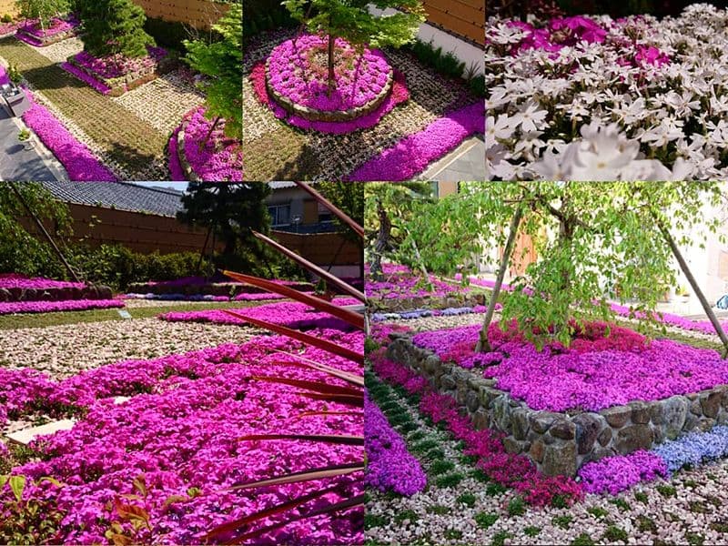 速成寺 納骨堂・樹木葬