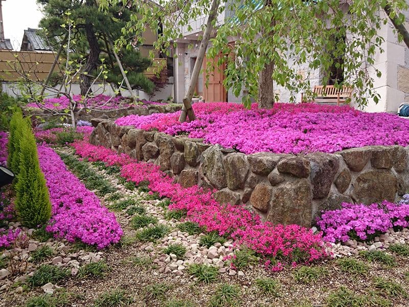 速成寺 納骨堂・樹木葬