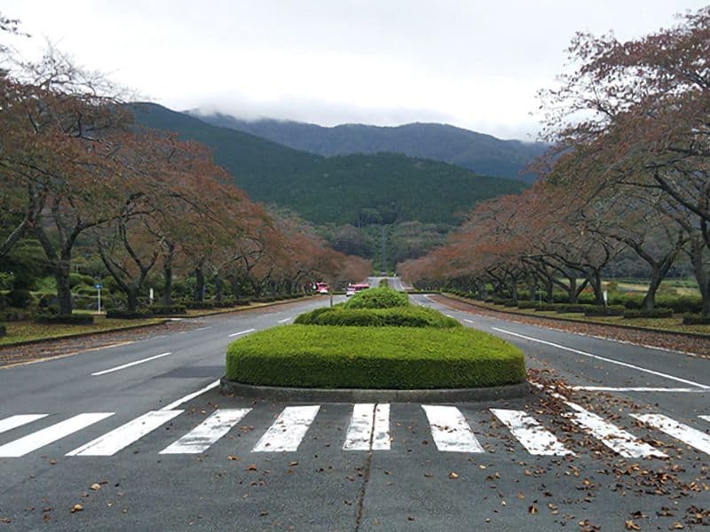 冨士霊園