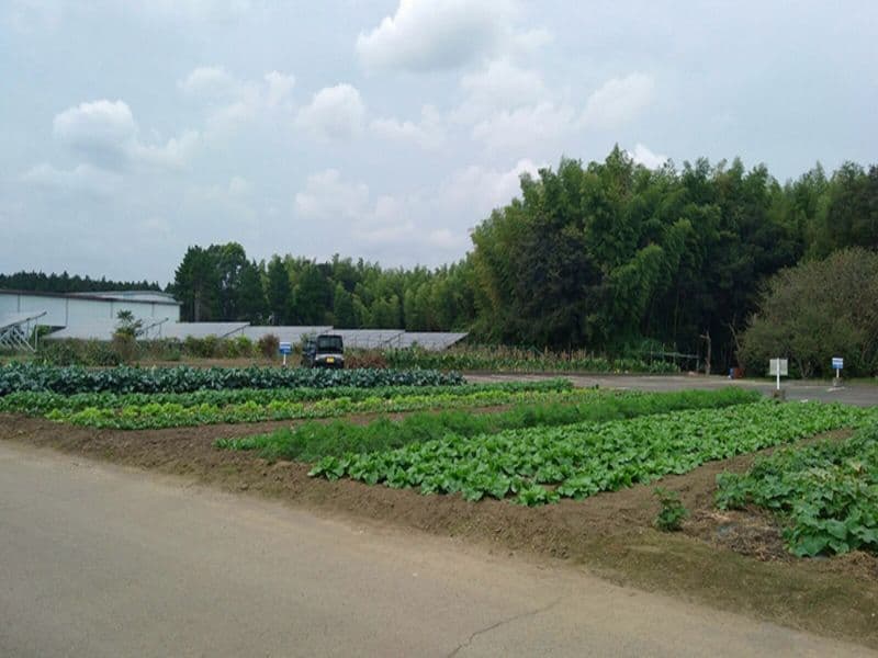 利根町営霊園
