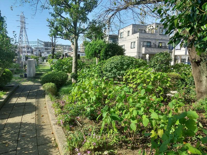 蕨市営 塚越霊園
