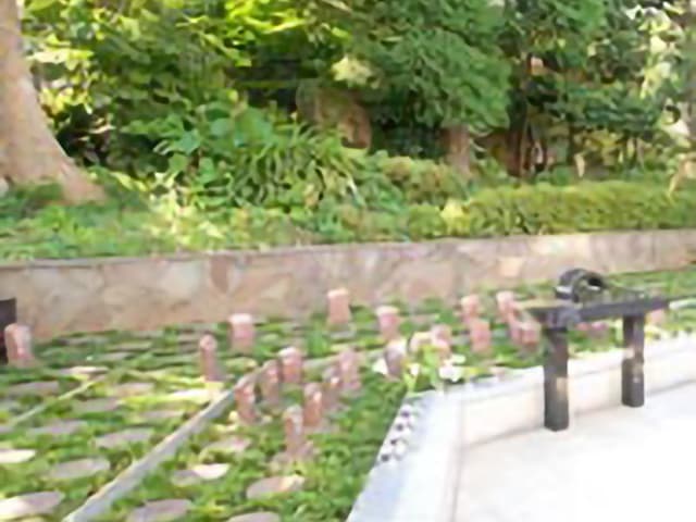 区画写真