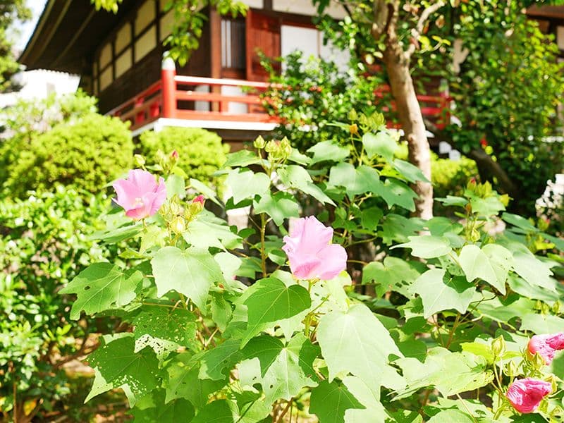 船橋霊苑 正延寺