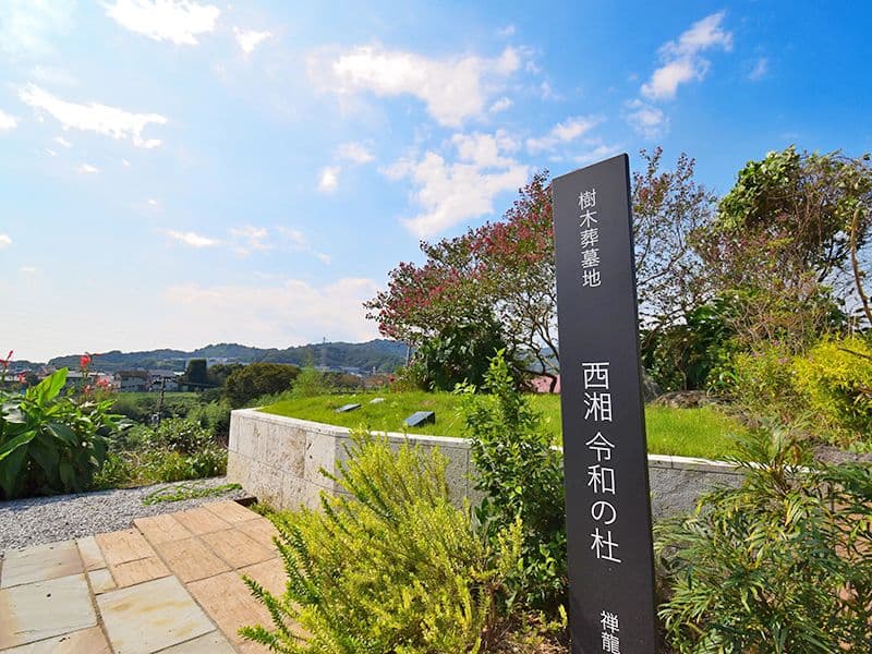 西湘令和の杜
