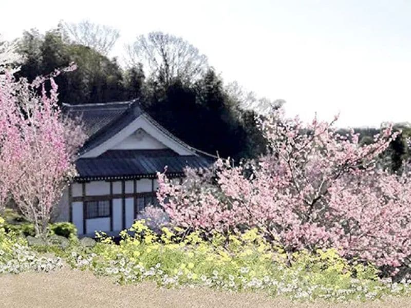 西湘令和の杜