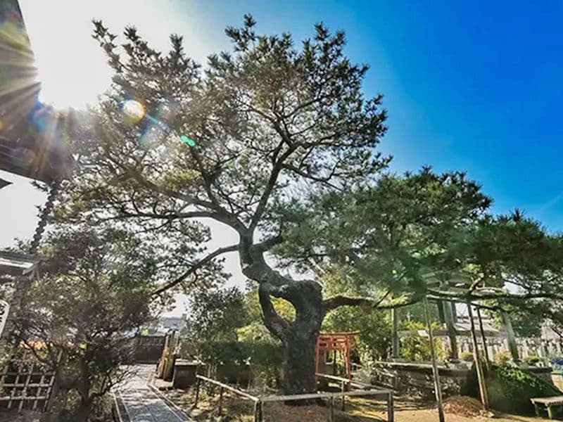 金沢八景令和の杜