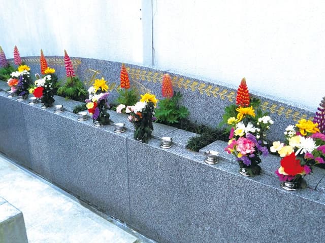 区画写真