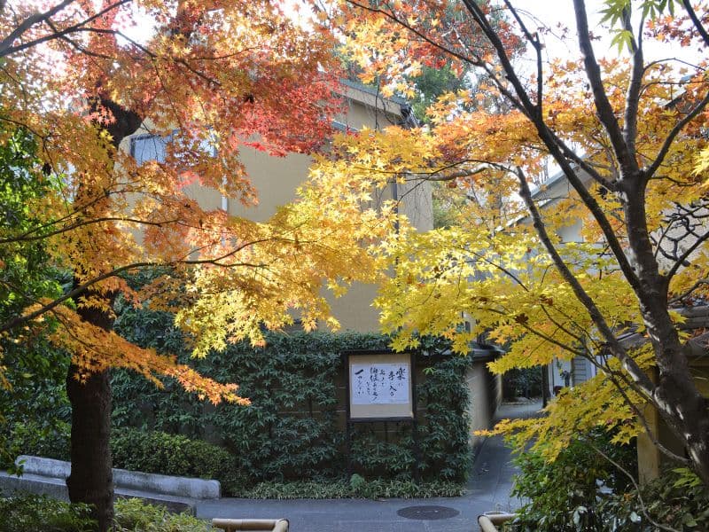 紅葉も楽しめます