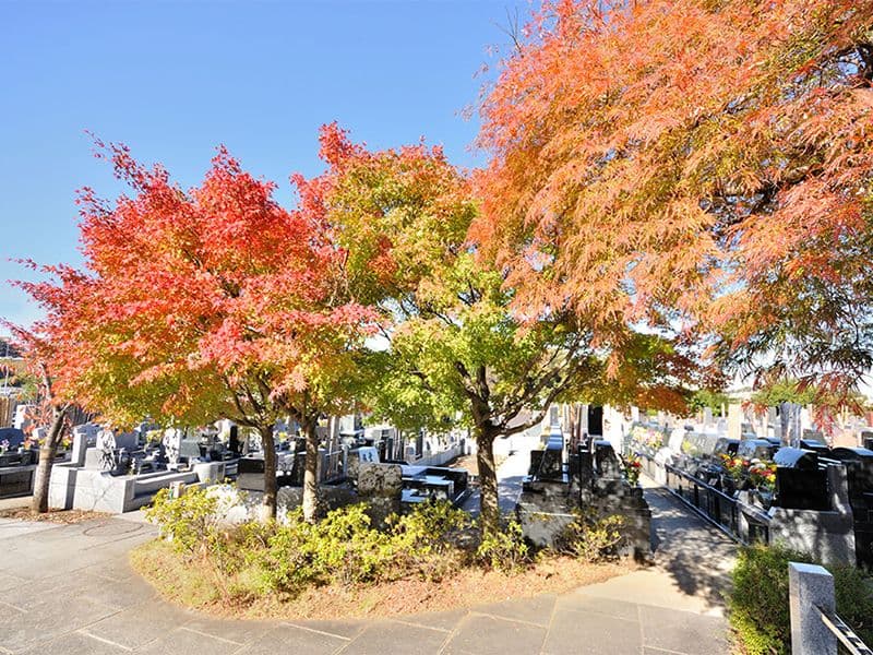 秋には紅葉が色どりを添えます
