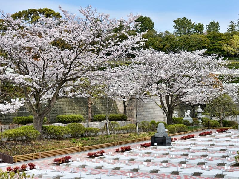 春には満開の桜を楽しめます
