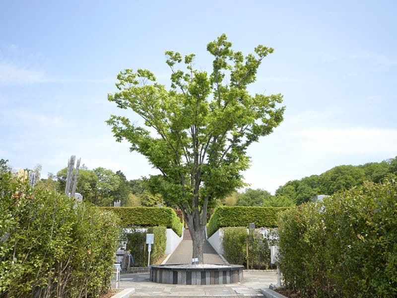 緑に包まれた聖地