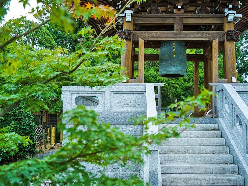 ガーデニング永代供養樹木葬 守谷さくら廟
