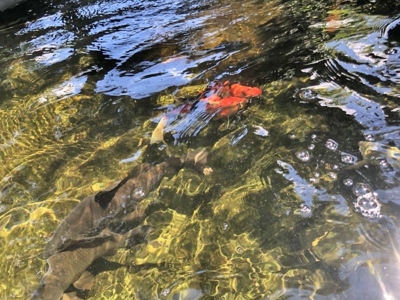唯真寺 のうこつぼ