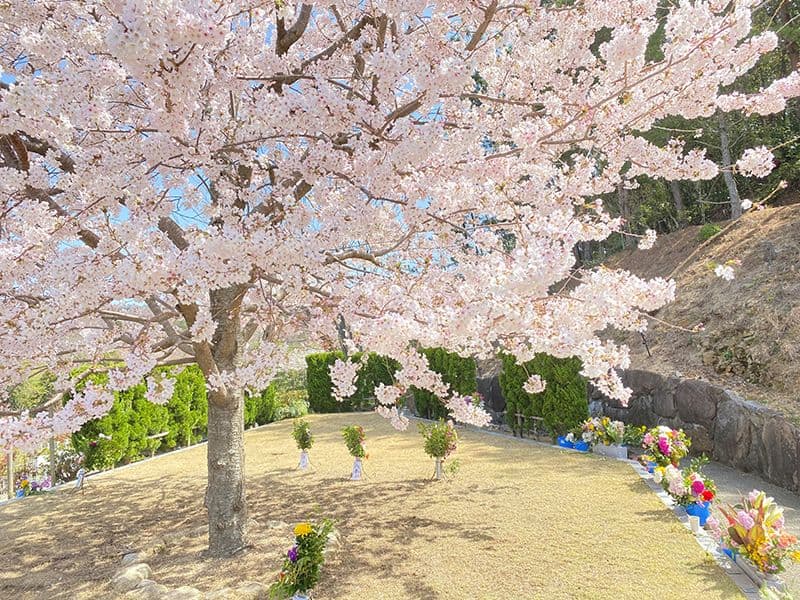 神戸聖地霊園